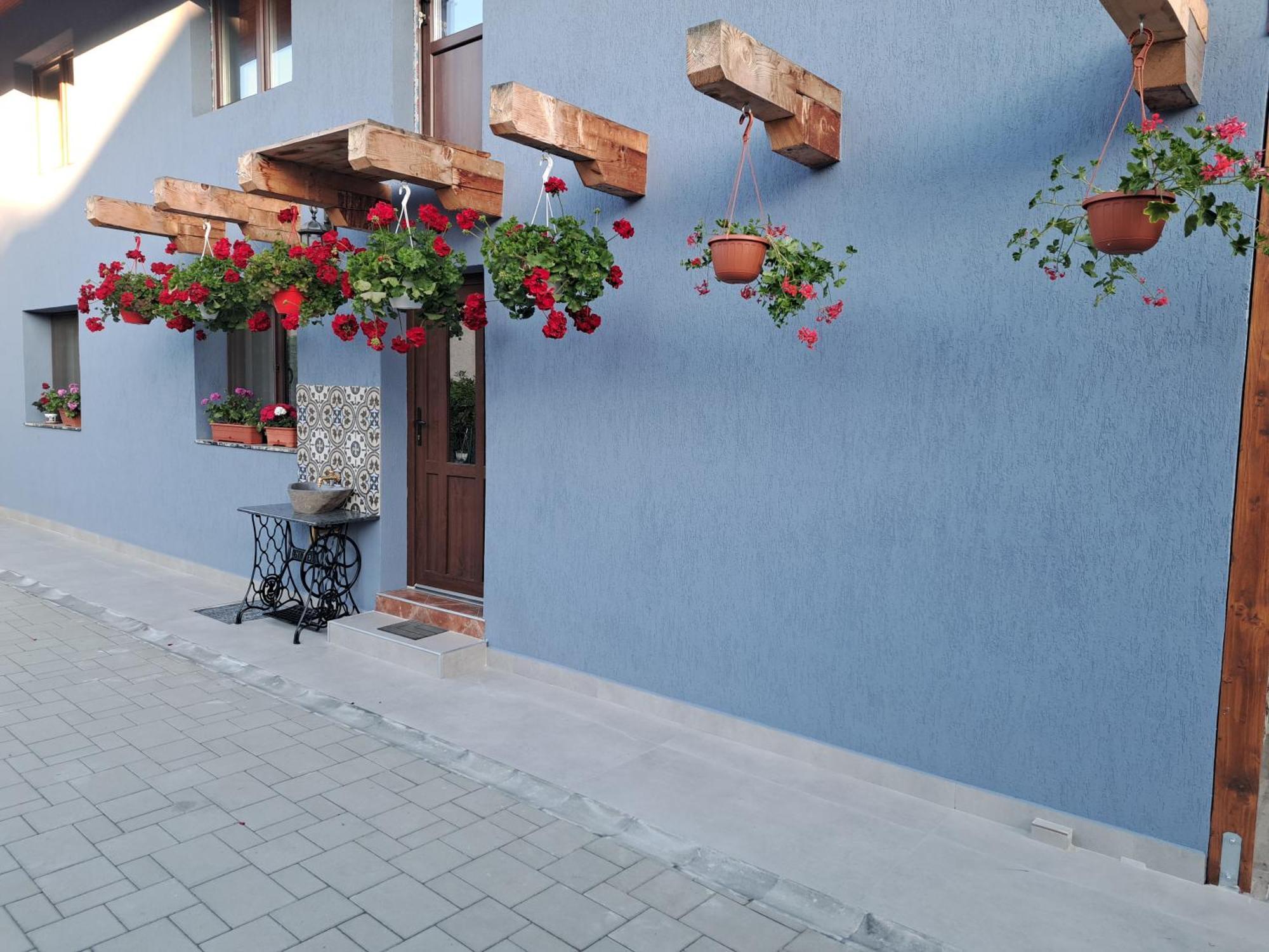 Casa Rustica Saceleana Villa Exterior photo